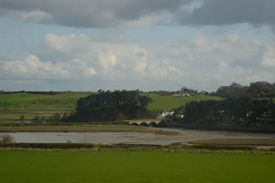 DSC_7207 (Large).JPG